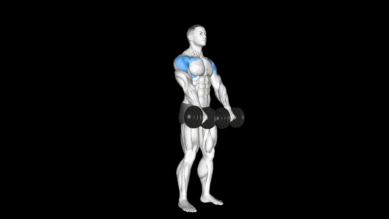 Dumbbell Front Raise